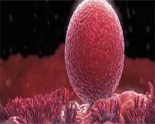 贵阳试管医院排名一览