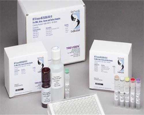 弱精症会导致女性流产