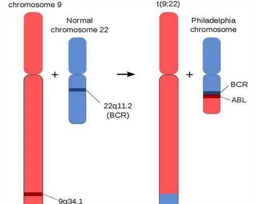 遵义试管婴儿需要多少钱(贵州试管婴儿费用)